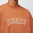 Dickies Union Springs Tee Ss castanho 17306 3