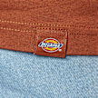 Dickies Union Springs Tee Ss castanho 17306 4