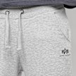 Alpha Industries Basic Jogger Small Logo S Leg gris 18123 3