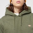 Dickies Oakport Hoodie zielony 18289 3