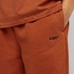 SNIPES Small Logo Essential Loose Sweatpants castanho 13312 3