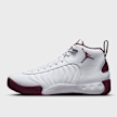 Jordan Jumpman Pro wit 15156 1