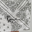 Karl Kani Small Signature Paisley Block Resort Shorts noir 19169 4