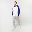 Champion Legacy Hooded Sweatshirt weiß 20642 8