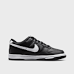 Nike Dunk Low (GS) schwarz 20999 2