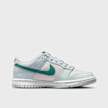 Nike Dunk Low (GS) grijs 21002 2