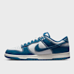 Nike Dunk Low Retro SE blauw 21060 1
