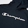 Champion Hooded Sweatshirt blu 21683 3