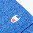 Champion hooded sweatshirt blu 21685 4