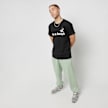 40s & Shorties Text Logo Pole Tee schwarz 21787 4