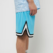Karl Kani Small Signature Essential Mesh Shorts blauw 22727 4