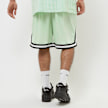 Karl Kani Small Signature Essential Mesh Shorts grün 22728 2