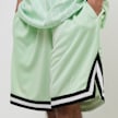 Karl Kani Small Signature Essential Mesh Shorts grün 22728 3