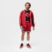 Jordan Sport Diamand Short rouge 25544 7