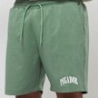 Pegador Grant Swim Shorts groen 26224 3