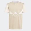 adidas Originals adicolor Next T-Shirt crna 26345 1