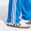 adidas Originals adicolor Firebird Trainingshose blau 26525 4