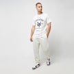 Zoo York ZY Crest T-Shirt bianco 26552 4
