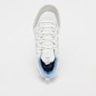 Champion Z95 TL wit 26586 5