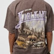 Karl Kani Small Signature Washed Heavy Jersey Landscape Tee marrón 26594 4