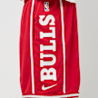 Nike   NBA Chicago Dri-Fit DNA Short rojo 26856 5