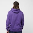 Nike NBA Los Angeles Lakers Club Hoody ljubičasta 26859 2