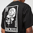 Dickies Garden Plain Tee Short Sleeve schwarz 26869 3