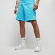 Nike Sportswear Club French Terry Shorts blauw 26882 1