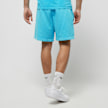 Nike Sportswear Club French Terry Shorts blauw 26882 2