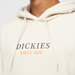 Dickies Park Hoodie beige 26893 3