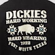 Dickies Hays Hoodie noir 26895 4