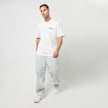 Dickies Hays Tee Shortsleeve blanc 26896 5