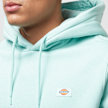 Dickies Oakport Hoodie turchese 27005 3