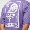 Dickies GARDEN PLAIN TEE SS imperial palace negro 27047 4