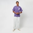 Dickies GARDEN PLAIN TEE SS imperial palace negro 27047 5