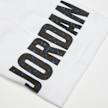 Jordan 23 Speckle Tee grijs 27061 4