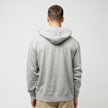 Dickies Melvern Hoodie gris 27079 2