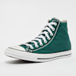 Converse Chuck Taylor All Star Fall Tone verde 27115 2