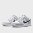 Nike Dunk Low grijs 27762 4