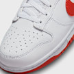 Nike   Dunk Low Retro blanc 27769 7