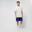 K1X NYC Reversible Mesh Shorts blau 28029 9