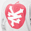 Zoo York Apple Hoody grau 22912 4