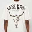 Karl Kani Small Signature Washed Heavy Jersey Skull Tee weiß 22979 4