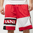 Karl Kani Retro Block Shorts multicolor 23012 3