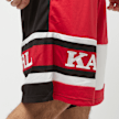 Karl Kani Retro Block Shorts multicolor 23012 5