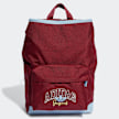 adidas Originals ADIDAS YOUTH  BP GIRLS BACKPK collegiate burgundy multicolor 46040 1