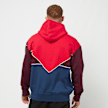 adidas Originals adicolor Next Hoodie multicolore 23442 2