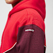 adidas Originals adicolor Next Hoodie multicolor 23442 5