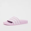 adidas Originals Ciabatte adilette W viola 23511 2