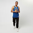 Nike NBA Dri-FIT Swingman Jersey Golden State Warriors - Stephen Curry niebieski 23684 7